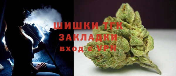 ECSTASY Богородицк